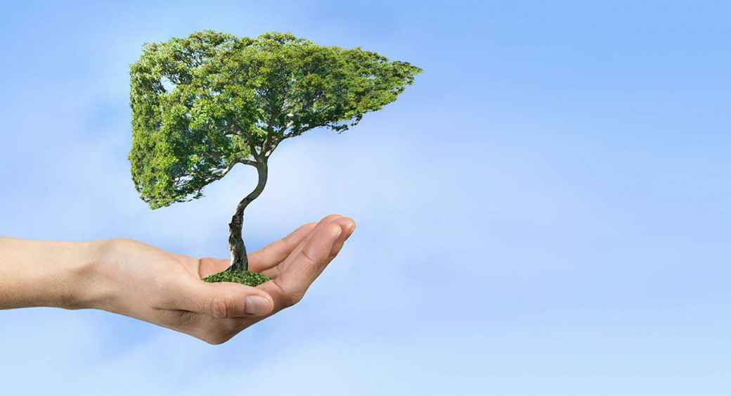 cheren drob interesni fakti.jpg